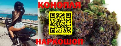 стафф Краснознаменск